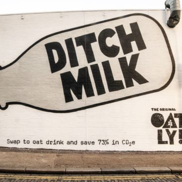 Oat Milk VS Cows Milk: Which is Better for Fat Loss and Muscle Building, and Overall Health?
