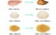 Cooked vs raw weight and calories