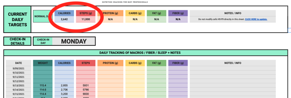 Coaching Tracker Sheet